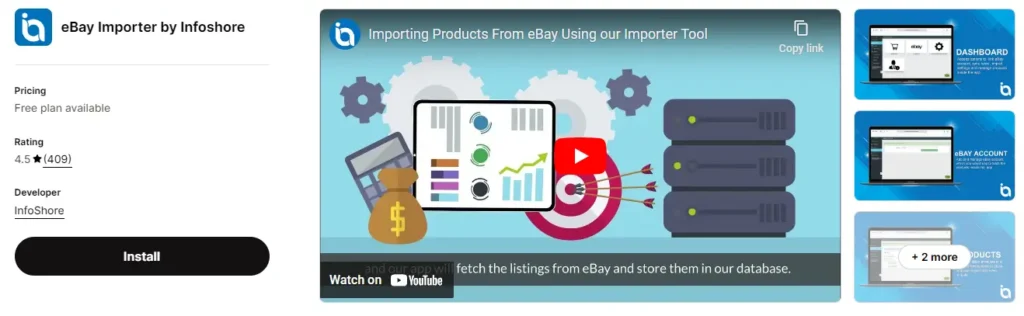 Professional importer for ebay